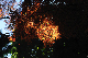 image0164