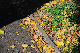 image0170