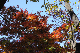 image0173