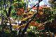 image0174