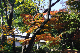 image0175