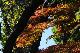 image0176