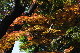 image0177