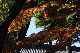 image0178