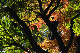 image0179