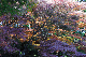 image0182