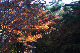image0183