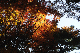 image0188