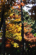 image0189