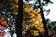 image0191