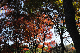 image0192
