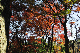 image0193