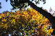 image0194