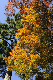 image0196
