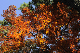 image0197
