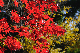 image0213