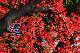 image0216