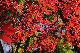 image0219