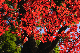 image0221