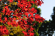 image0222