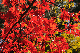 image0223