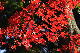 image0225