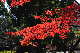image0227