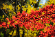 image0232