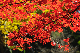 image0233