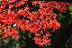 image0234