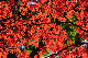 image0235