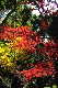 image0237