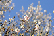 image0238