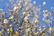 image0239