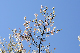 image0240