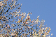 image0241