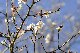 image0242