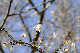 image0243