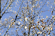image0244