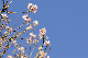 image0245