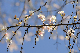 image0246