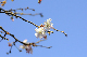 image0248