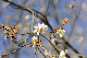 image0249
