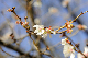 image0250