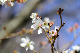 image0251