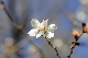 image0253