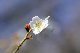 image0254