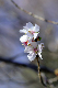 image0255