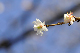 image0256