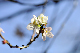 image0257